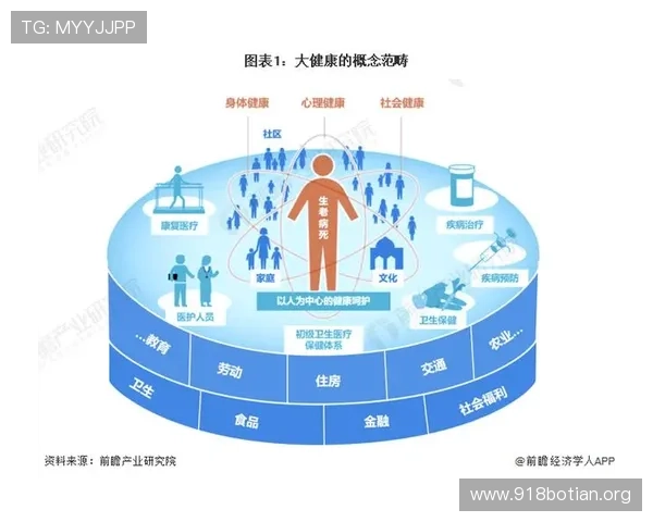 全面解析盈胜国际：行业地位与未来发展前景